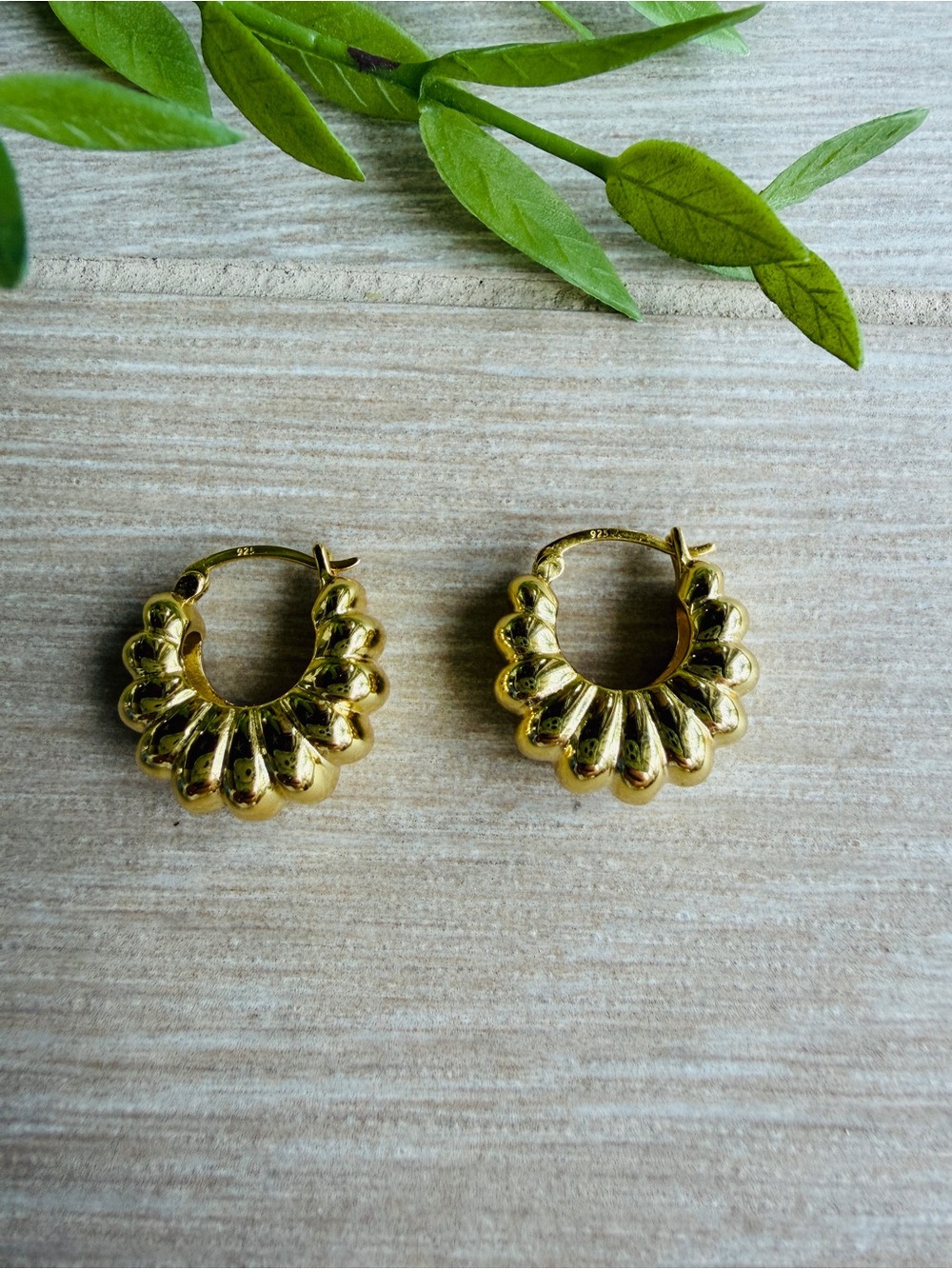 Gold Sculpted Scallop Hoop Earrings for Women